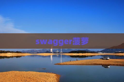 swagger菠萝 swagger菠萝